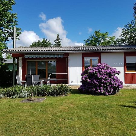 Feriendomizil Am Zeulenrodaer Meer Zadelsdorf Eksteriør billede